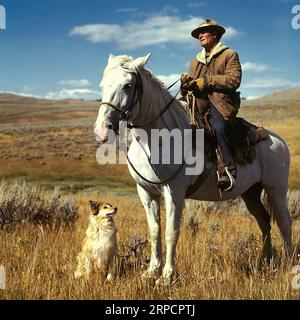 Hirt mit seinem Pferd und Hund auf Gravelly Range, Madison County, Montana Stockfoto