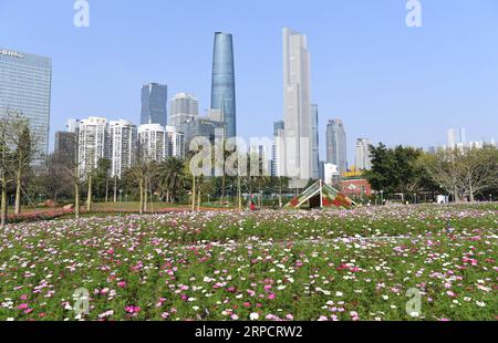 (190712) -- PEKING, 12. Juli 2019 -- Foto aufgenommen am 3. März 2019 zeigt die Neustadt Zhujiang in Guangzhou, der Hauptstadt der südchinesischen Provinz Guangdong. Die Provinz Guangdong liegt in Südchina und grenzt im Norden an die Provinzen Hunan und Jiangxi. Es besitzt das bekannte Pearl River Delta, das sich aus drei flussaufwärts gelegenen Flüssen und einer großen Anzahl von Inseln zusammensetzt. Aufgrund des Klimas ist Guangdong berühmt für ein diversifiziertes ökologisches System und eine vielfältige Umwelt. In den letzten Jahren hat Guangdong durch die Einhaltung des Grundsatzes der grünen Entwicklung bemerkenswerte Erfolge in seinem erzielt Stockfoto