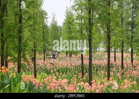 (190712) -- PEKING, 12. Juli 2019 -- Menschen besuchen einen Landschaftsgürtel entlang des Dongping Flusses in Foshan, südchinesische Provinz Guangdong, 9. April 2019. Die Provinz Guangdong liegt in Südchina und grenzt im Norden an die Provinzen Hunan und Jiangxi. Es besitzt das bekannte Pearl River Delta, das sich aus drei flussaufwärts gelegenen Flüssen und einer großen Anzahl von Inseln zusammensetzt. Aufgrund des Klimas ist Guangdong berühmt für ein diversifiziertes ökologisches System und eine vielfältige Umwelt. In den letzten Jahren hat Guangdong durch die Wahrung des Grundsatzes der grünen Entwicklung in i bemerkenswerte Erfolge erzielt Stockfoto