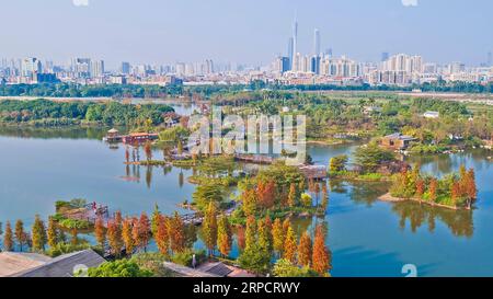 (190712) -- PEKING, 12. Juli 2019 -- Luftaufnahme vom 9. Januar 2017 zeigt einen Blick auf das Haizhu-Feuchtgebiet in Guangzhou, der Hauptstadt der südchinesischen Provinz Guangdong. Die Provinz Guangdong liegt in Südchina und grenzt im Norden an die Provinzen Hunan und Jiangxi. Es besitzt das bekannte Pearl River Delta, das sich aus drei flussaufwärts gelegenen Flüssen und einer großen Anzahl von Inseln zusammensetzt. Aufgrund des Klimas ist Guangdong berühmt für ein diversifiziertes ökologisches System und eine vielfältige Umwelt. In den letzten Jahren hat Guangdong durch die Einhaltung des Grundsatzes der grünen Entwicklung bemerkenswerte ach geschaffen Stockfoto