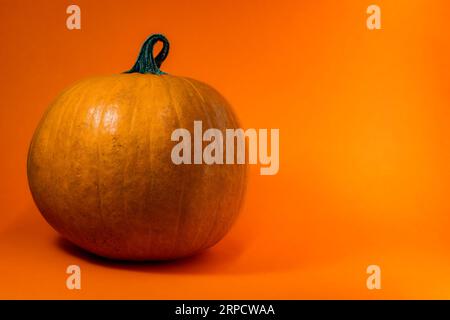 Halloween-Dekoration mit solidem Hintergrund Stockfoto