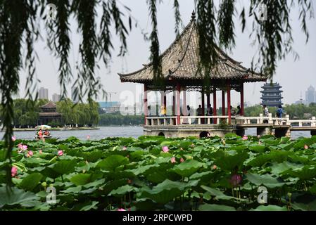 (190714) -- JINAN, 14. Juli 2019 -- Touristen sehen Lotusblumen auf dem Daming Lake in Jinan, ostchinesische Provinz Shandong, 14. Juli 2019. ) CHINA-SHANDONG-JINAN-DAMING LAKE-LOTUS (CN) WANGXKAI PUBLICATIONXNOTXINXCHN Stockfoto