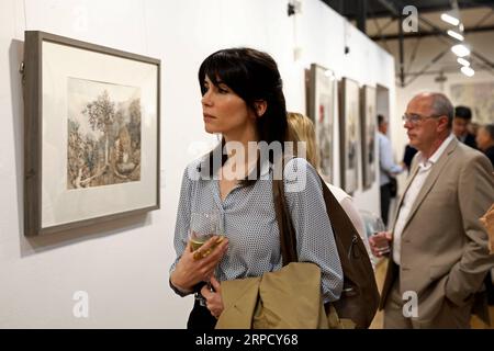 (190716) -- SARAJEVO, 16. Juli 2019 (Xinhua) -- Besucher sehen Kunstwerke während einer Ausstellung zum Thema Enthusiasmus für die Tuschmalerei in Sarajevo, Bosnien und Herzegowina (Bosnien und Herzegowina), 15. Juli 2019. Insgesamt wurden am Montag in der National Art Gallery of Bosnien and Herzegowina (BiH) 60 chinesische Tuschegemälde ausgestellt. Die Gemälde, die neuesten Werke von Künstlern der China National Academy of Painting (CNAP), wurden der Öffentlichkeit bei der Eröffnung einer Ausstellung zum Thema Enthusiasmus für Ink Wash Painting gezeigt. (Xinhua/Nedim Grabovica) BOSNIEN UND HERZEGOWINA-SARAJEVO-CHINESISCH IN Stockfoto