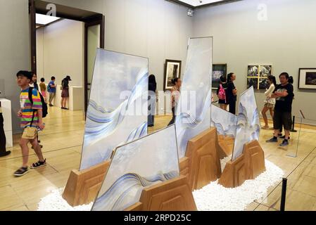 (190719) -- PEKING, 19. Juli 2019 -- Menschen besuchen Splendid China -- Ausstellung für kunstvolle Suzhou-Stickereien im National Art Museum of China (NAMOC) in Peking, Hauptstadt von China, 19. Juli 2019. Die Ausstellung, die am Freitag hier eröffnet wird, zeigt eine reiche Sammlung von Werken der chinesischen Suzhou-Stickmeister in der zeitgenössischen Ära. ) CHINA-BEIJING-ART-SUZHOU STICKAUSSTELLUNG (CN) JINXLIANGKUAI PUBLICATIONXNOTXINXCHN Stockfoto