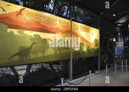 (190724) -- LOS ANGELES, 24. Juli 2019 -- Foto aufgenommen am 22. Juli 2019 zeigt den Eingang von Jurassic World-The Ride in den Universal Studios Hollywood in Los Angeles, USA. Die Universal Studios Hollywood veranstalteten am Montagabend eine große Eröffnungsfeier für die Jurassic World-The Ride, einen Themenpark, der eine neue aufregende Fahrt mit Attraktionen aus dem Film Jurassic World kombiniert. ) US-LOS ANGELES-UNIVERSAL STUDIOS HOLLYWOOD-JURASSIC WORLD LIXYING PUBLICATIONXNOTXINXCHN Stockfoto