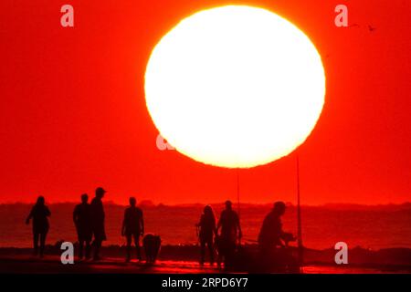 Isle Of Palms, Vereinigte Staaten. September 2023. Eine Gruppe von Hundewanderern, die von dem Sonnenaufgang umgeben sind, genießen die Morgenruhe vor dem Ansturm der Menschenmassen am inoffiziellen Ende des Sommers, der vom Labor Day, 4. September 2023 in Isle of Palms, South Carolina, gekennzeichnet ist. Quelle: Richard Ellis/Richard Ellis/Alamy Live News Stockfoto