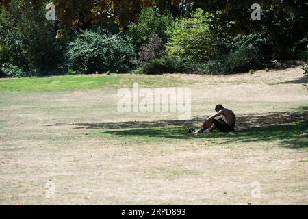 (190726) -- PARIS, 26. Juli 2019 -- Ein Mann erholt sich unter dem Baum in Lille, Nordfrankreich, 25. Juli 2019. Donnerstag ist der heißeste Tag der heftigen Hitzewelle in den nördlichen Regionen Frankreichs. Früher sagte Meteo France voraus, dass die Temperaturen unter Schutz in der heißesten Tageshälfte zwischen 40 und 42 Grad Celsius liegen werden, sehr gelegentlich 43 Grad in bestimmten Bezirken der Hauptstadt. (Foto von Kristina Afanasyeva Courdji/Xinhua) FRANCE-HEATWAVE GaoxJing PUBLICATIONxNOTxINxCHN Stockfoto