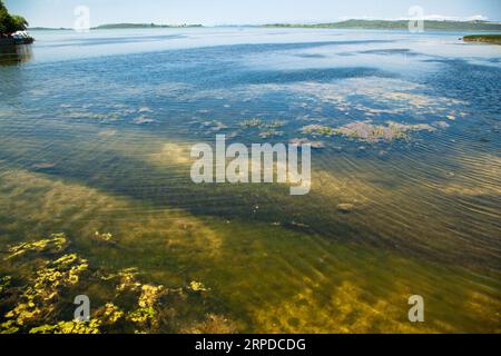 Ulubat oder Uluabat Lake Golyazi Umgebung in Bursa, Türkei, wundervolle natürliche Seeblick, Juni 25 2023 Stockfoto