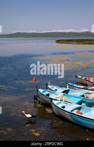 Hölzerne Fischerboote warten am Ulubat oder Uluabat Lake in Bursa, Türkei, Juni 25 2023 Stockfoto