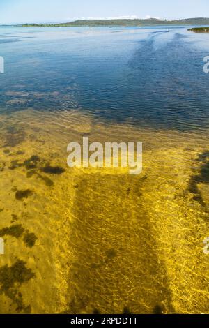 Ulubat oder Uluabat Lake Golyazi Umgebung in Bursa, Türkei, wundervolle natürliche Seeblick, Juni 25 2023 Stockfoto