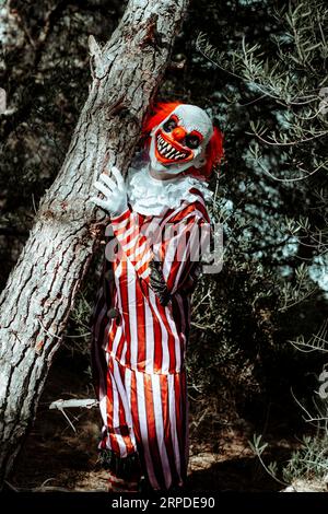 Ein verrückter böser Rothaariger Clown, der ein weiß-rot gestreiftes Kostüm mit einem weißen Fell trägt und sich im Wald am Stamm eines Baumes festklammert, starrt den an Stockfoto