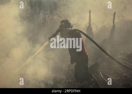 (190802) -- RIAU, 2. August 2019 -- ein indonesischer Feuerwehrmann von der Regional Mitigation Disaster Management Agency von Pekanbaru versucht, Torfbrand in Pekanbaru, Riau, Indonesien, 2. August 2019 zu löschen. Die Pekanbaru Meteorology, Climatology and Geophysics Agency entdeckte am Freitagmorgen 85 Hotspots, die auf mögliche Buschbrände und Waldbrände in mehreren Teilen der Insel Sumatra hindeuten. (Foto: /Xinhua) INDONESIA-RIAU-MOATLAND FIRE Hadlyxvavaldi PUBLICATIONxNOTxINxCHN Stockfoto