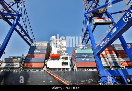 (190802) -- WALVIS BAY (NAMIBIA), 2. August 2019 -- Container werden am neuen Containerterminal in Walvis Bay, Namibia, 2. August 2019 gesehen. Namibias Bestreben, ein internationales Handelsknotenpunkt und Gateway zu werden, wurde am Freitag mit der offiziellen Einweihung des 400 Millionen US-Dollar schweren neuen Containerterminals des Landes in Walvis Bay durch den Präsidenten des Landes, Hage Geingob, weiter vorangetrieben. Das neue Containerterminal in der Hafenstadt Walvis Bay wurde auf 40 Hektar Land gebaut, das von China Harbor Engineering Company Ltd (CHEC) in nur fünf Jahren aus dem Meer zurückgewonnen wurde. ) MIT Chinesen gebaut Stockfoto