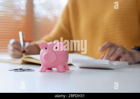 Frau macht Berechnungen, prüft ihre Finanzen, macht Notizen in einem Notizbuch. Ersparnisse in einer Schweinebank Stockfoto