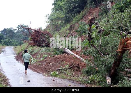 (190809) -- HANOI, 9. August 2019 (Xinhua) -- das Foto vom 9. August 2019 zeigt einen Erdrutsch, der durch starke Regenfälle in der Provinz Dak Nong, Vietnam, verursacht wurde. Am Freitagnachmittag hatten Überschwemmungen und Erdrutsche in Vietnams zentralem Hochland acht Menschen getötet, teilte das Zentralkomitee für die Prävention und Kontrolle von Naturkatastrophen mit. (VNA via Xinhua) VIETNAM-ZENTRALHOCHLAND-REGION-FLUTKATASTROPHE PUBLICATIONxNOTxINxCHN Stockfoto