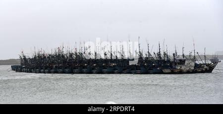 (190811) -- RIZHAO, 11. August 2019 -- Foto vom 11. August 2019 zeigt Schiffe, die im Hafen von Huanghai im Zentrum von Rizhao in der ostchinesischen Provinz Shandong anlanden. Alle Schiffe im Hafen von Huanghai Center wurden zurückgerufen, um das Ankommen des Supertyphoons Lekima zu vermeiden. Am Sonntag bewegte sich Lekima nach Norden und wird die Ostküste der Provinz Shandong hinaufziehen. Es wird erwartet, dass es am späten Sonntag eine zweite Landung entlang der Küste in Shandong machen wird, die starken Wind und starke Regenfälle bringt, warnte das National Meteorological Center. CHINA-SHANDONG-RIZHAO-TYPHOON-LEKIMA (CN) WANGXKAI PUBLICATIONXNOTXINXCHN Stockfoto