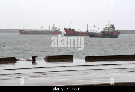 (190811) -- RIZHAO, 11. August 2019 -- Foto vom 11. August 2019 zeigt Schiffe, die im Hafen von Huanghai im Zentrum von Rizhao in der ostchinesischen Provinz Shandong anlanden. Alle Schiffe im Hafen von Huanghai Center wurden zurückgerufen, um das Ankommen des Supertyphoons Lekima zu vermeiden. Am Sonntag bewegte sich Lekima nach Norden und wird die Ostküste der Provinz Shandong hinaufziehen. Es wird erwartet, dass es am späten Sonntag eine zweite Landung entlang der Küste in Shandong machen wird, die starken Wind und starke Regenfälle bringt, warnte das National Meteorological Center. CHINA-SHANDONG-RIZHAO-TYPHOON-LEKIMA (CN) WANGXKAI PUBLICATIONXNOTXINXCHN Stockfoto