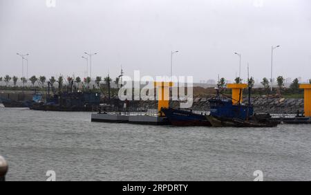 (190811) -- RIZHAO, 11. August 2019 -- Foto vom 11. August 2019 zeigt Schiffe, die im Hafen von Huanghai im Zentrum von Rizhao in der ostchinesischen Provinz Shandong anlanden. Alle Schiffe im Hafen von Huanghai Center wurden zurückgerufen, um das Ankommen des Supertyphoons Lekima zu vermeiden. Am Sonntag bewegte sich Lekima nach Norden und wird die Ostküste der Provinz Shandong hinaufziehen. Es wird erwartet, dass es am späten Sonntag eine zweite Landung entlang der Küste in Shandong machen wird, die starken Wind und starke Regenfälle bringt, warnte das National Meteorological Center. CHINA-SHANDONG-RIZHAO-TYPHOON-LEKIMA (CN) WANGXKAI PUBLICATIONXNOTXINXCHN Stockfoto