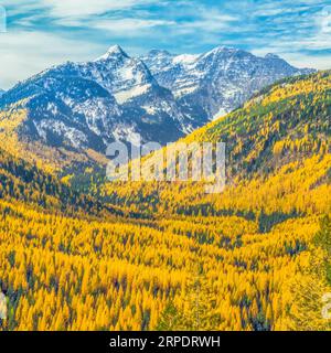 Unbenannte Gipfel in den Missionsbergen Wildnis oberhalb der Herbstlärche im Elchbach-Tal bei condon, montana Stockfoto