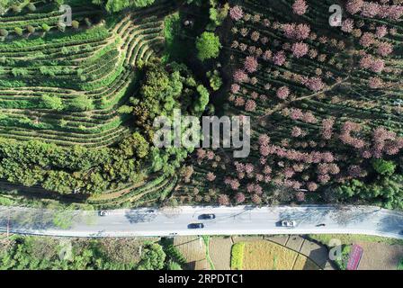 (190811) -- ANKANG, 11. August 2019 -- Luftaufnahme, aufgenommen am 4. April 2019, zeigt einen Blick auf die Hongfu-Teeplantage im Dorf Gaofeng im Pingli County, Stadt Ankang, Provinz Shaanxi im Nordwesten Chinas. In den letzten Jahren konzentrierte sich Ankang auf die grüne Entwicklung und verzeichnete ein rasches Wachstum umweltfreundlicher Industrien. Die Stadt hat auch einige arbeitsintensive Industrien gegründet, in denen Textilien und Spielzeug hergestellt werden, um Arbeitsplätze für einkommensschwache Bewohner zu schaffen. ) CHINA-SHAANXI-ANKANG-ECONOMY (CN) ShaoxRui PUBLICATIONxNOTxINxCHN Stockfoto