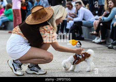 (190811) -- MOSKAU, 11. August 2019 (Xinhua) -- Ein Hund tritt während der Hündchenpartei in Moskau, Russland, am 11. August 2019 an. Die Doggie Party, ein Wettbewerb für Hunde, fand am Sonntag in Moskau statt. (Foto: Maxim Tschernawsky/Xinhua) RUSSLAND-MOSKAU-HUNDEPARTY PUBLICATIONxNOTxINxCHN Stockfoto