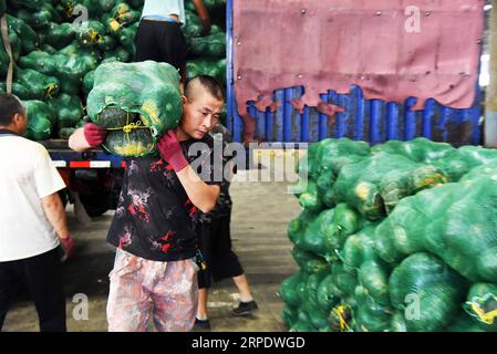 (190813) -- SHOUGUANG, 13. August 2019 -- Ein Mitarbeiter trägt Gemüse in einem Logistikpark in Shouguang, ostchinesische Provinz Shandong, 13. August 2019. Die Versorgung mit Gemüse blieb stabil, nachdem der Taifun Lekima Shouguang getroffen hatte, eine wichtige Produktionsbasis für Gemüse in China. CHINA-SHANDONG-SHOUGUANG-VEGETABLE-SUPPLY (CN) WANGXKAI PUBLICATIONXNOTXINXCHN Stockfoto