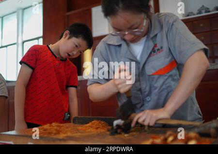 (190813) -- NANCHANG, 13. August 2019 -- Ein Student beobachtet einen Mitarbeiter beim Schneiden von getrockneten Orangenschalen, einer Art traditioneller chinesischer Medizin (TCM), in einem Werk in Zhangshu, ostchinesische Provinz Jiangxi, 13. August 2019. Zhangshu ist ein bekanntes TCM-Vertriebszentrum. Um die Kultur der traditionellen chinesischen Medizin zu fördern, lädt Tianqitang Pharmacy, ein lokaler TCM-Hersteller, Studenten ein, die Produktion chinesischer Medizin zu besuchen und zu erleben. ) CHINA-JIANGXI-ZHANGSHU-STUDENT-CHINESE MEDICINE (CN) ZHOUXMI PUBLICATIONXNOTXINXCHN Stockfoto