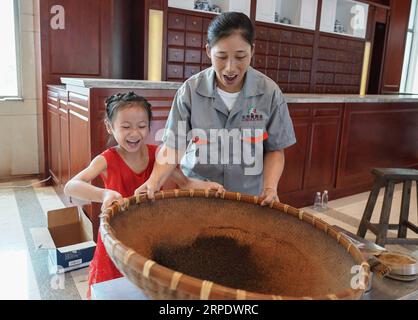 (190813) -- NANCHANG, 13. August 2019 -- Ein Mitarbeiter führt einen Studenten in der Herstellung der traditionellen chinesischen Medizin (TCM) in einem Werk in Zhangshu, ostchinesische Provinz Jiangxi, 13. August 2019. Zhangshu ist ein bekanntes TCM-Vertriebszentrum. Um die Kultur der traditionellen chinesischen Medizin zu fördern, lädt Tianqitang Pharmacy, ein lokaler TCM-Hersteller, Studenten ein, die Produktion chinesischer Medizin zu besuchen und zu erleben. ) CHINA-JIANGXI-ZHANGSHU-STUDENT-CHINESE MEDICINE (CN) ZHOUXMI PUBLICATIONXNOTXINXCHN Stockfoto