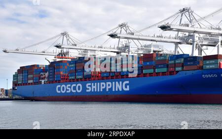 (190814) -- PEKING, 14. August 2019 -- Container von China COSCO Shipping Corporation Limited wurden am 27. Februar 2019 im Hafen von Long Beach, Los Angeles County, USA, gesehen. ) Xinhua Schlagzeilen: Handelsunsicherheiten nach wie vor größte Bedrohung für die Weltwirtschaft LixYing PUBLICATIONxNOTxINxCHN Stockfoto