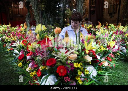 (190814) -- BRÜSSEL, 14. Aug. 2019 -- Ein Blumenkünstler passt das Werk am ersten Tag der Blumenausstellung im Brüsseler Rathaus am 14. Aug. 2019 an. Jeden zweiten Sommer, im Wechsel mit dem Blumenteppich des Großen Platzes, erhält das Brüsseler Rathaus die Blütezeit. In diesem Jahr, während der fünftägigen Veranstaltung, verwenden Blumenkünstler aus vielen Ländern und Regionen mehr als 100.000 Blumen, um die historischen Räume des Rathauses zu dekorieren. ) BELGIEN-BRÜSSEL-FLOWERTIME-AUSSTELLUNG ZhengxHuansong PUBLICATIONxNOTxINxCHN Stockfoto