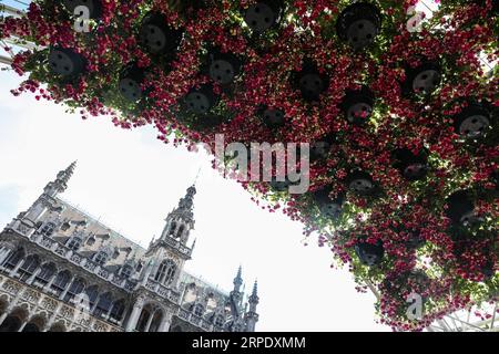 (190814) -- BRÜSSEL, 14. Aug. 2019 -- Blumen werden am ersten Tag der Flowertime-Ausstellung im Grand Place vor dem Rathaus in Brüssel, Belgien, am 14. Aug. 2019 gesehen. Jeden zweiten Sommer, im Wechsel mit dem Blumenteppich des Großen Platzes, erhält das Brüsseler Rathaus die Blütezeit. In diesem Jahr, während der fünftägigen Veranstaltung, verwenden Blumenkünstler aus vielen Ländern und Regionen mehr als 100.000 Blumen, um die historischen Räume des Rathauses zu dekorieren. ) BELGIEN-BRÜSSEL-FLOWERTIME-AUSSTELLUNG ZhengxHuansong PUBLICATIONxNOTxINxCHN Stockfoto