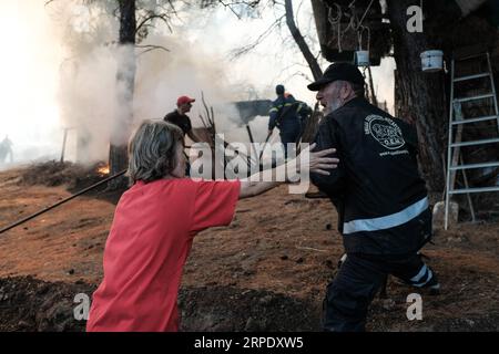 (190815) -- ATHEN, 15. August 2019 (Xinhua) -- Feuerwehrmänner und Freiwillige evakuieren Vieh, als eine wütende Flamme im Dorf Makrymalli auf der Insel Evia, Griechenland, am 14. August 2019 brennt. Angesichts der laufenden Bemühungen um die Beseitigung eines zerstörerischen Waldbrandes forderte der griechische Premierminister Kyriakos Mitsotakis am Mittwoch eine stärkere Zusammenarbeit zwischen den Mitgliedern der Europäischen Union (EU) bei der Bewältigung künftiger Naturkatastrophen. Er rief während eines Besuchs auf der vom Feuer heimgesuchten Insel Evia an. Von starken Winden angefacht, bedrohten die Flammen Dörfer etwa 80 Kilometer nordöstlich von Athen und zwangen die Evakuierung von Hunderten von Residenzen Stockfoto