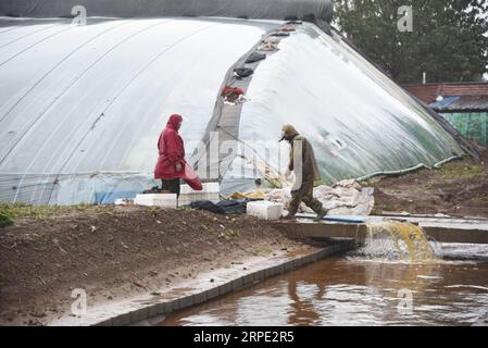 (190812) -- SHOUGUANG, 12. August 2019 -- Bauern werden Wasser aus einem überfluteten Gewächshaus nach dem Taifun Lekima im Dorf Dongfangxi der Gemeinde Jitai, Shouguang, ostchinesische Provinz Shandong, 12. August 2019 los. Das Hochwasser überflutete 18.000 Gemüsegewächshäuser in Shouguang, einer der wichtigsten Produktionsstätten für Gemüse in China, nachdem der Taifun Lekima dort mit sintflutartigen Regenfällen und starken Stürmen Chaos angerichtet hatte. ) CHINA-SHANDONG-SHOUGUANG-TAIFUN-FLUTNACHWIRKUNGEN (CN) WANGXKAI PUBLICATIONXNOTXINXCHN Stockfoto