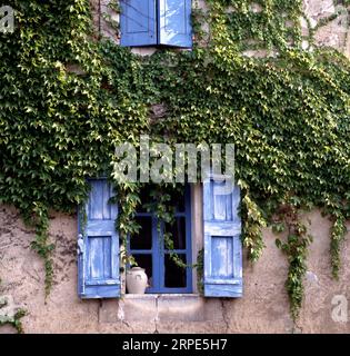 Haus mit blauen Fensterläden und Efeu an der Wand in Maubec, einem kleinen Dorf im Luberon, Frankreich Stockfoto