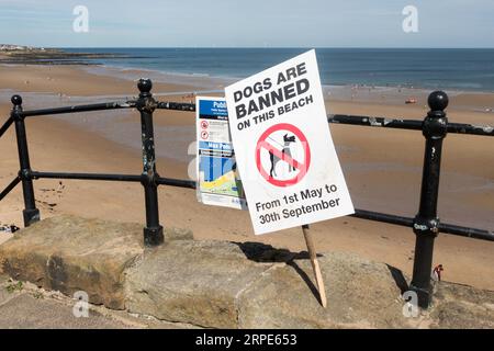 Schild, Hunde sind verboten an diesem Strand, Tynemouth Longsands Beach, England, Großbritannien Stockfoto