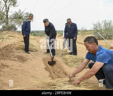 (190821) -- WUWEI, 21. August 2019 -- der chinesische Präsident Xi Jinping, ebenfalls Generalsekretär des Zentralkomitees der Kommunistischen Partei Chinas und Vorsitzender der Zentralen Militärkommission, inspiziert die Babusha Forest Farm, ein Aufforstungsprogramm in einem Wüstengebiet von Gansu, wo er über die neuesten Entwicklungen im Bereich der Kontrolle der Wüstenbildung und des Umweltschutzes informiert, im Gulang County der Stadt Wuwei, Provinz Gansu im Nordwesten Chinas, 21. August 2019. ) CHINA-GANSU-WUWEI-XI JINPING-INSPECTION (CN) XIEXHUANCHI PUBLICATIONXNOTXINXCHN Stockfoto