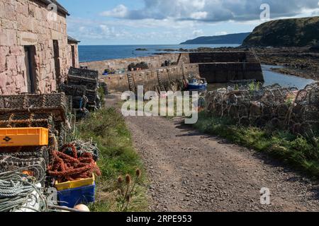 Cove Harbour, Cove, Cockburnspath, Scottish Borders, Scotland 2023. Stockfoto