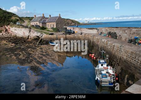 Cove Harbour, Cove, Cockburnspath, Scottish Borders, Scotland 2023. Stockfoto