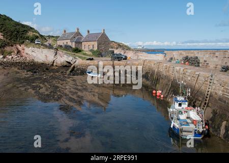 Cove Harbour, Cove, Cockburnspath, Scottish Borders, Scotland 2023. Stockfoto