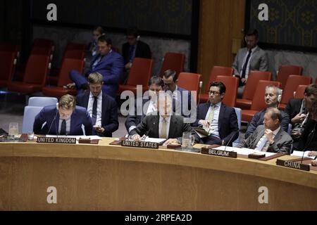 News Bilder des Tages (190822) -- VEREINTEN NATIONEN, 22. August 2019 -- Jonathan Cohen (C, Front), amtierender Ständiger Vertreter der Vereinigten Staaten bei den Vereinten Nationen, spricht am 22. August 2019 im UN-Hauptquartier in New York vor einer Sitzung des Sicherheitsrats über Bedrohungen des Weltfriedens und der internationalen Sicherheit. Russlands stellvertretender UN-Gesandter am Donnerstag appellierte an die europäischen Länder, den jüngsten Rückzug der Vereinigten Staaten aus einem waffenkontrollvertrag des Kalten Krieges zu beachten und warnte vor einem möglichen neuen Wettrüsten. ) UN-SICHERHEITSRAT-USA NEHMEN SIE DIE INF-AUSFAHRT LixMuzi PUBLICATIONxNOTxINxCHN Stockfoto