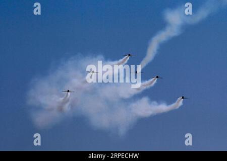 (190824) -- BUKAREST, 24. August 2019 (Xinhua) -- Lettlands baltische Bienen Kunstflugteam in L-39C Albatros Aircraft tritt während der Bukarest International Air Show in Bukarest, Rumänien, am 24. August 2019 auf. Die Bukarest International Air Show und die General Aviation Exhibition fanden am Samstag statt und brachten über 100 Flugzeuge in die Öffentlichkeit. (Foto von Cristian Cristel/Xinhua) RUMÄNIEN-BUKAREST-INTERNATIONALE FLUGSCHAU PUBLICATIONxNOTxINxCHN Stockfoto