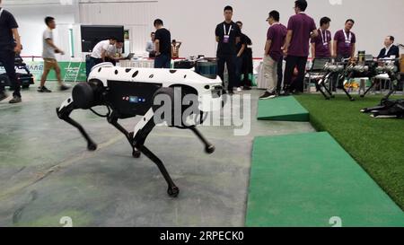 (190825) -- PEKING, 25. August 2019 -- mobiles Foto zeigt einen in China hergestellten Roboterhund auf der World Robot Exhibition in Peking, Hauptstadt Chinas, 20. August 2019. ) (BeijingCandid)CHINA-BEIJING-WORLD ROBOTERAUSSTELLUNG (CN) ZhangxChao PUBLICATIONxNOTxINxCHN Stockfoto