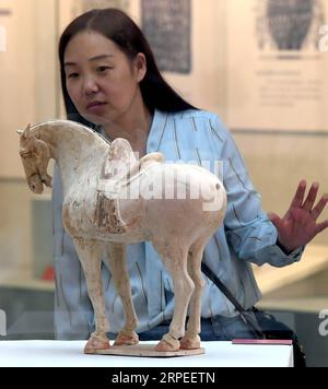 (190827) -- ZHENGZHOU, 27. August 2019 -- Ein Besucher sieht eine Ausstellung während der Ausstellung des chinesischen Sporterbes im Zhengzhou Museum in Zhengzhou, Hauptstadt der zentralchinesischen Provinz Henan, 26. August 2019. Rund 175 Exponate waren während der Ausstellung zu sehen, die hier am Montag begann. ) CHINA-ZHENGZHOU-AUSSTELLUNG-ANTIKE CHINESISCHE SPORT (CN) LIXAN PUBLICATIONXNOTXINXCHN Stockfoto