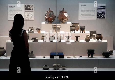 (190827) -- ZHENGZHOU, 27. August 2019 -- Ein Besucher betrachtet Exponate während einer Ausstellung im Zhengzhou Museum in der zentralchinesischen Provinz Henan, 27. August 2019. Die Ausstellung über bedeutende archäologische Entdeckungen und Forschungserfolge in Henan in den letzten 70 Jahren begann hier am Dienstag mit 1.225 Exponaten. ) CHINA-HENAN-MUSEUM-AUSSTELLUNG (CN) LixAn PUBLICATIONxNOTxINxCHN Stockfoto