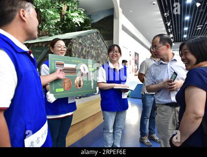 (190827) -- ZHENGZHOU, 27. August 2019 -- Freiwillige erklären Besuchern archäologisches Wissen während einer Ausstellung im Zhengzhou Museum in der zentralchinesischen Provinz Henan, 27. August 2019. Die Ausstellung über bedeutende archäologische Entdeckungen und Forschungserfolge in Henan in den letzten 70 Jahren begann hier am Dienstag mit 1.225 Exponaten. ) CHINA-HENAN-MUSEUM-AUSSTELLUNG (CN) LixHe PUBLICATIONxNOTxINxCHN Stockfoto