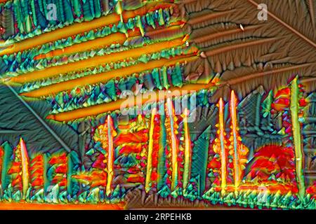 Das Bild zeigt eine kristallisierte Mischung aus Harnstoff-Paracetamol und Resorcin, die durch das Mikroskop in polarisiertem Licht mit einer Vergrößerung aufgenommen wurde Stockfoto
