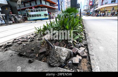 (190901) -- HONG KONG, 1. September 2019 -- Foto vom 1. September 2019 zeigt Ziegel, die von Randalierern demontiert wurden, um die Polizei in der Causeway Bay Area im südchinesischen Hongkong anzugreifen. Die Randalierer am Samstag setzten an verschiedenen Orten Hongkongs Feuer, verwüsteten öffentliches Eigentum, richteten Barrikaden ein und beschädigten Anlagen an MTR-Stationen wie Bahnsteigtüren. Das Feuer, das von Brandstiftern an der Hennessy Road ausgelöst wurde, war an einem Punkt sehr heftig, erreichte die Höhe der Brücke und stellte eine ernsthafte Gefahr für die Bewohner in der Nähe dar. CHINA-HONGKONG-GEWALT-NACHWIRKUNGEN (CN) MAOXSIQIAN PUBLICATIONXNOTXINXCHN Stockfoto