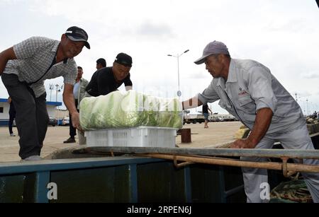 (190901) -- RIZHAO, 1. September 2019 -- Fischer laden Gemüse in das Boot, bevor sie in Rizhao, ostchinesische Provinz Shandong, 1. September 2019 zum Angeln aufbrechen. Das jährliche Sommerfangverbot, das am 1. Mai im Gelben Meer und im Bohai-Meer verhängt wurde, endete am Sonntag. ) CHINA-SHANDONG-RIZHAO-FISHING SEASON (CN) WANGXKAI PUBLICATIONXNOTXINXCHN Stockfoto