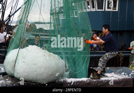 (190901) -- RIZHAO, 1. September 2019 -- Fischer laden Eiswürfel in das Boot, bevor sie in Rizhao, ostchinesische Provinz Shandong, 1. September 2019 zum Angeln aufbrechen. Das jährliche Sommerfangverbot, das am 1. Mai im Gelben Meer und im Bohai-Meer verhängt wurde, endete am Sonntag. ) CHINA-SHANDONG-RIZHAO-FISHING SEASON (CN) WANGXKAI PUBLICATIONXNOTXINXCHN Stockfoto