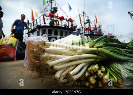 (190901) -- RIZHAO, 1. September 2019 -- Fischer laden Gemüse in das Boot, bevor sie in Rizhao, ostchinesische Provinz Shandong, 1. September 2019 zum Angeln aufbrechen. Das jährliche Sommerfangverbot, das am 1. Mai im Gelben Meer und im Bohai-Meer verhängt wurde, endete am Sonntag. ) CHINA-SHANDONG-RIZHAO-FISHING SEASON (CN) WANGXKAI PUBLICATIONXNOTXINXCHN Stockfoto